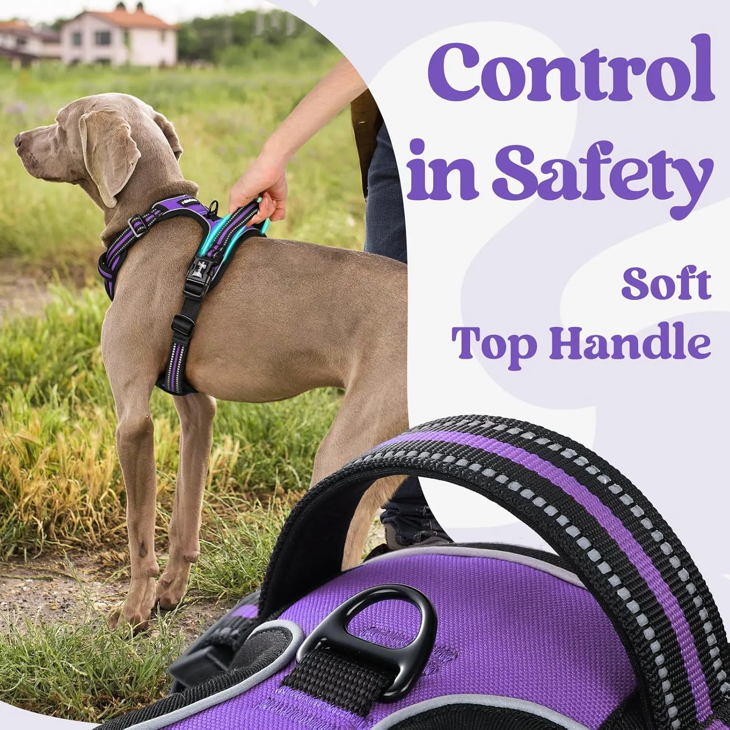 🐕 Large Dog Harness - Anti-Pull & Adjustable 🐕