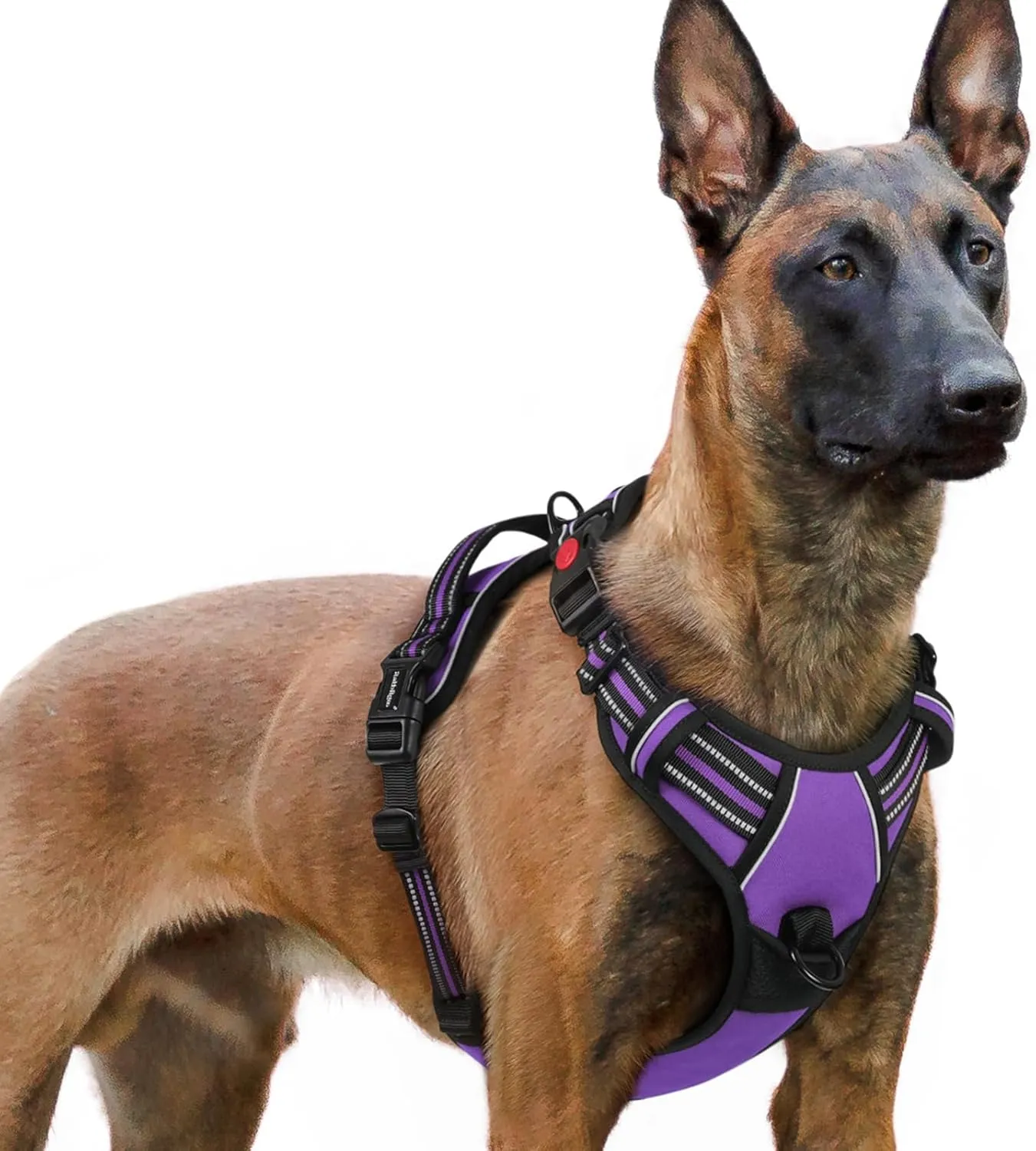 🐕 Large Dog Harness - Anti-Pull & Adjustable 🐕