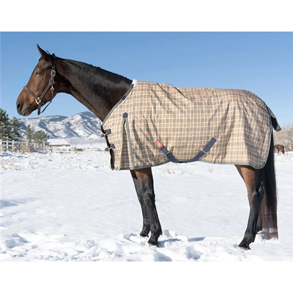 5/A Baker Medium Weight Turnout Blanket 200 Gram