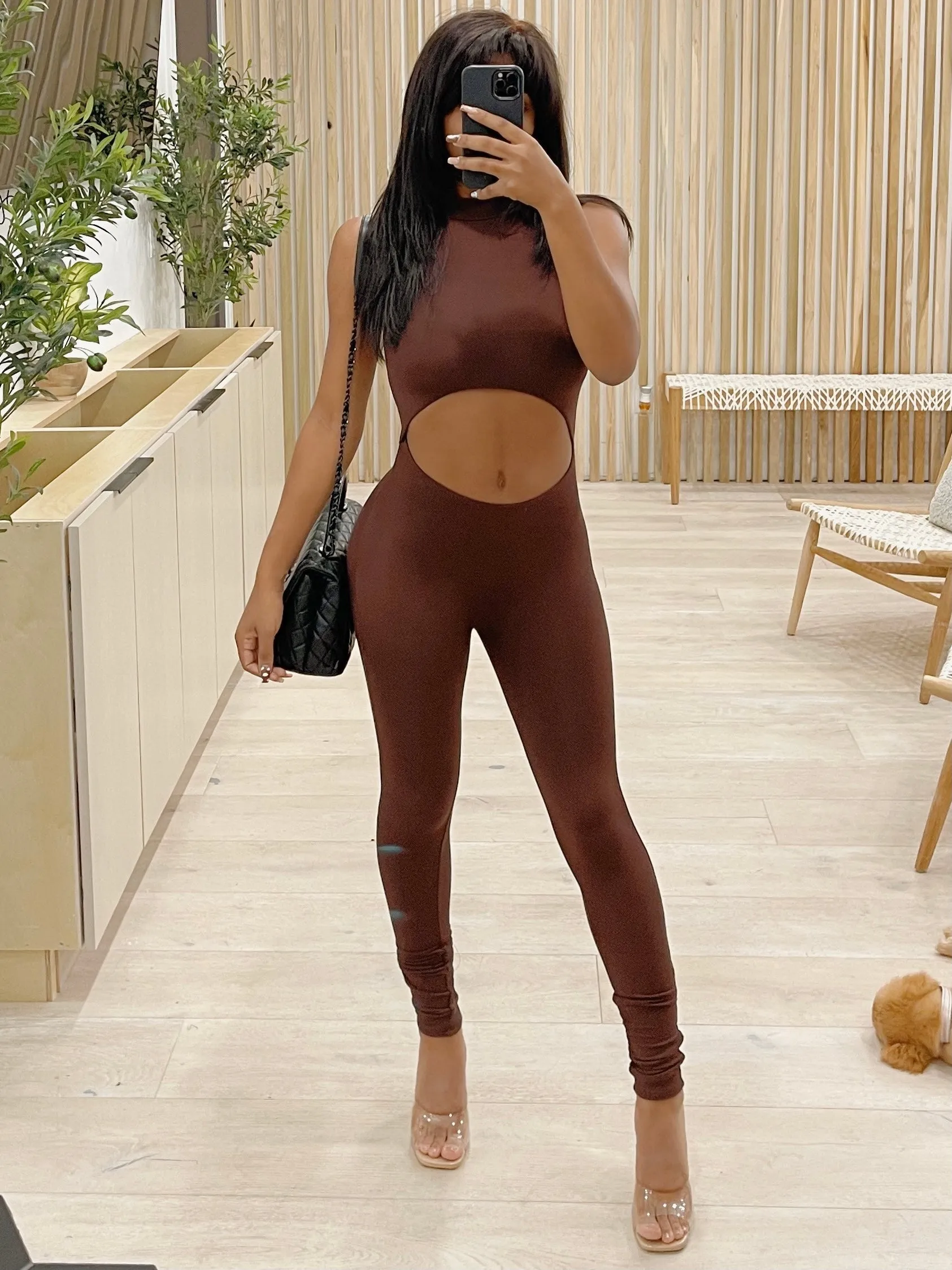 Dani Front Cut Out Mock Neck Jumpsuit (Brown)